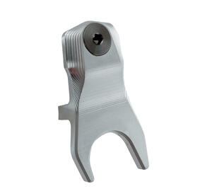 Coppia Di Forchette Panigale V4 2025 per Ducati Argento