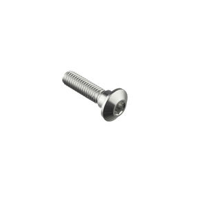 Special Screw M8 X 31 + Smooth Part D10 X 6 Lightech