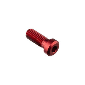 Special Screw M10 X 25 + Smooth Part D9,9 X 4 Lightech