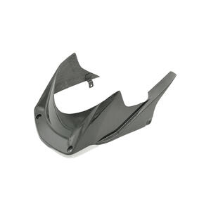 Carbon Rear Mudguard for Honda Lightech