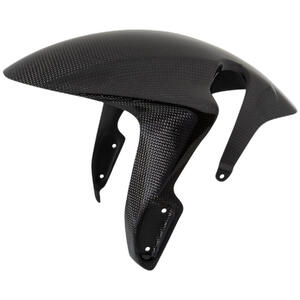Carbon Front Mudguard for Honda Lightech