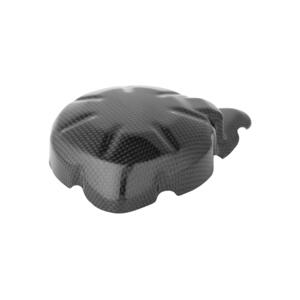 Carbon Electric Cover for Kawasaki Lightech