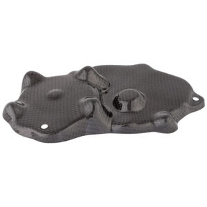 Coperchio Pick Up In Carbonio per Kawasaki Lightech