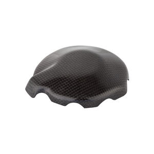 Carbon Electric Cover for Kawasaki Lightech