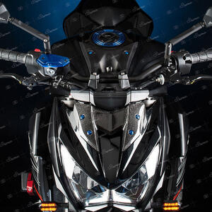 Carbon Tachometer Support Cover for Kawasaki Lightech