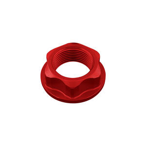 Special Nut24 X 1,50 Ergal for Yamaha, Suzuki Lightech
