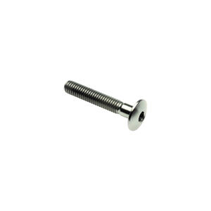 Button Head  Tit. G.5 Cl 002 M4 L. 10 Head Ø10  Titanio 6al4v Gr.5 Lightech