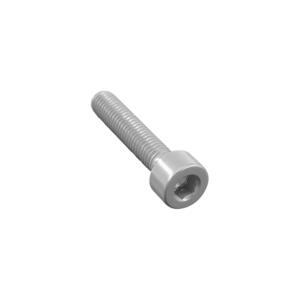 Socket Head Ergal Cl 001 M4 L. 10 Silver
