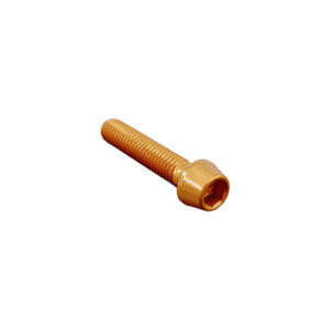 Socket Head Ergal Cl 001 M10 X 1,5 L. 20 Gold