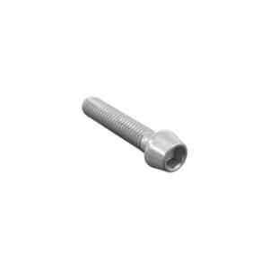 Socket Head Ergal Cl 001 M10 X 1,5 L. 20 Silver