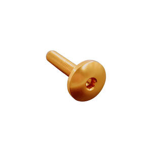 Button Head Ergal Cl 003 M5 L. 10 Head Ø14  Ergal (7075 T6) Gold