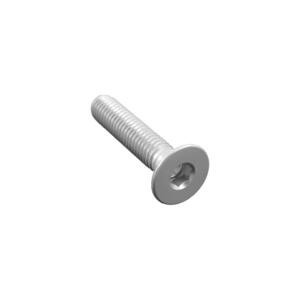 Flared Flat Head Screw Ergal Cl 005 M5 L. 35 Silver