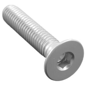 Flat Head Ergal Cl 005 M8 L. 20 Silver