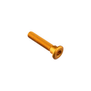 Special Screw M8 X 41 + Smooth Part D9,9 X 6 Gold