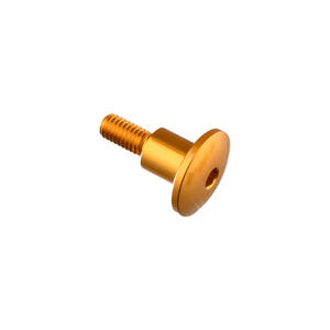 Special Screw M6 X 23,5 + Smooth Part D9,9 X 11 Gold