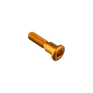Special Screw M8 X 33 + Smooth Part D9,9 X 11 Gold