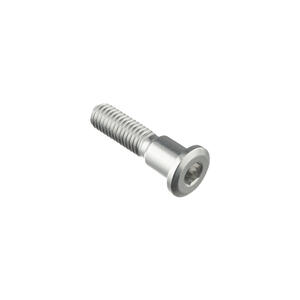 Special Screw M8 X 33 + Smooth Part D9,9 X 11 Silver