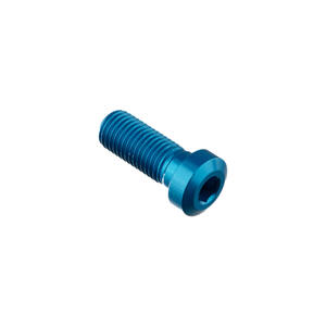 Special Screw M10 X 25 + Smooth Part D9,9 X 4 Blue
