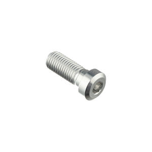 Special Screw M10 X 25 + Smooth Part D9,9 X 4 Silver