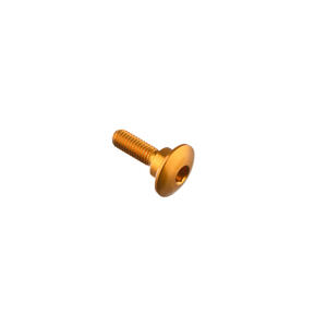 Special Screw M5 X 17,8 + Smooth Part D8,1 X 3,7 Gold