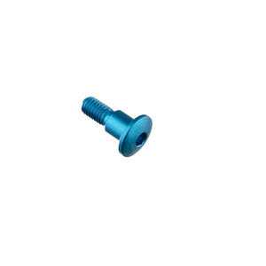 Special Screw M6 X 19 + Smooth Part D7,9 X 8 Blue