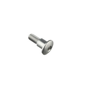 Special Screw M6 X 19 + Smooth Part D7,9 X 8 Silver