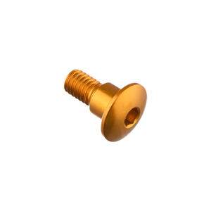 Special Screw M6 X 15 + Smooth Part D7,9 X 6 Gold