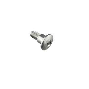Special Screw M6 X 15 + Smooth Part D7,9 X 6 Silver