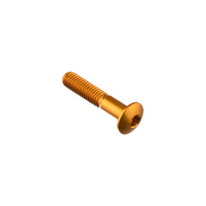 Special Screw M6 X 30 + Smooth Part D6 X 11 Gold