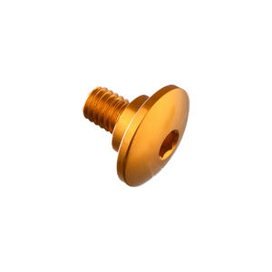 Special Screw M6 X 11 + Smooth Part D9,9 X 3,5 Gold
