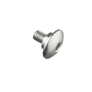 Special Screw M6 X 11 + Smooth Part D9,9 X 3,5 Silver