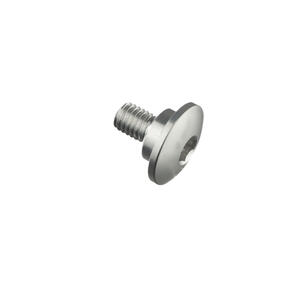 Special Screw M5 X 10 + Smooth Part D8,9 X 3 Silver