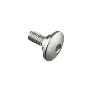 Special Screw M6 X 15 + Smooth Part D9,9 X 3,5 Silver