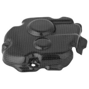 Coperchio Pick Up In Carbonio per Kawasaki <p>Colore Naturale</p>