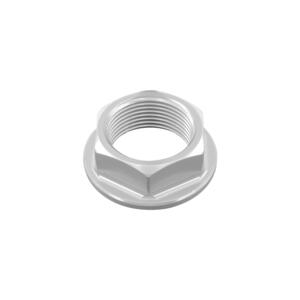 Dado Speciale 25 X 1,50 Ergal per Aprilia, Suzuki Argento