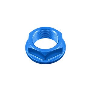 Special Nut25 X 1,00 Ergal for Triumph Blue