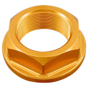 Dado Speciale 25 X 1,00 Ergal per Triumph Oro