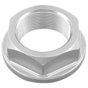 Dado Speciale 25 X 1,00 Ergal per Triumph Argento