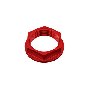 Special Nut25 X 1,25 Ergal for Mv Agusta, Ducati <p>Rosso</p>