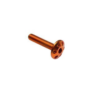 Drilled Screw M5 X 15 Gold