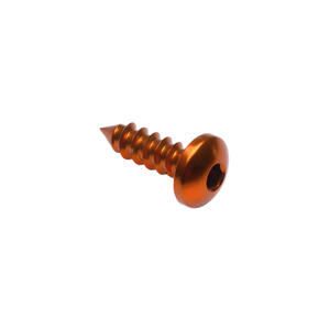 Self Tapping Screw 002 D=4,5x13 Ergal Gold