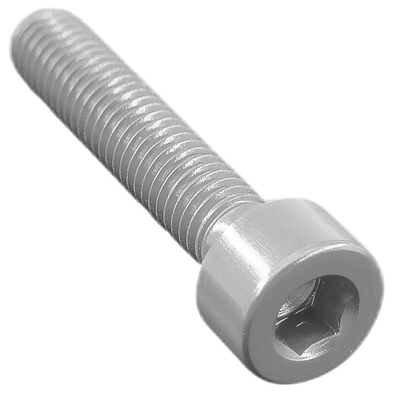 Socket Head Ergal Cl 001 M4 L. 30 Argento