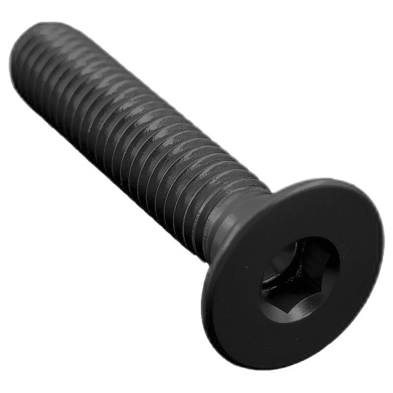 Flat Head Ergal Cl 005 M8 L. 20 Opaco