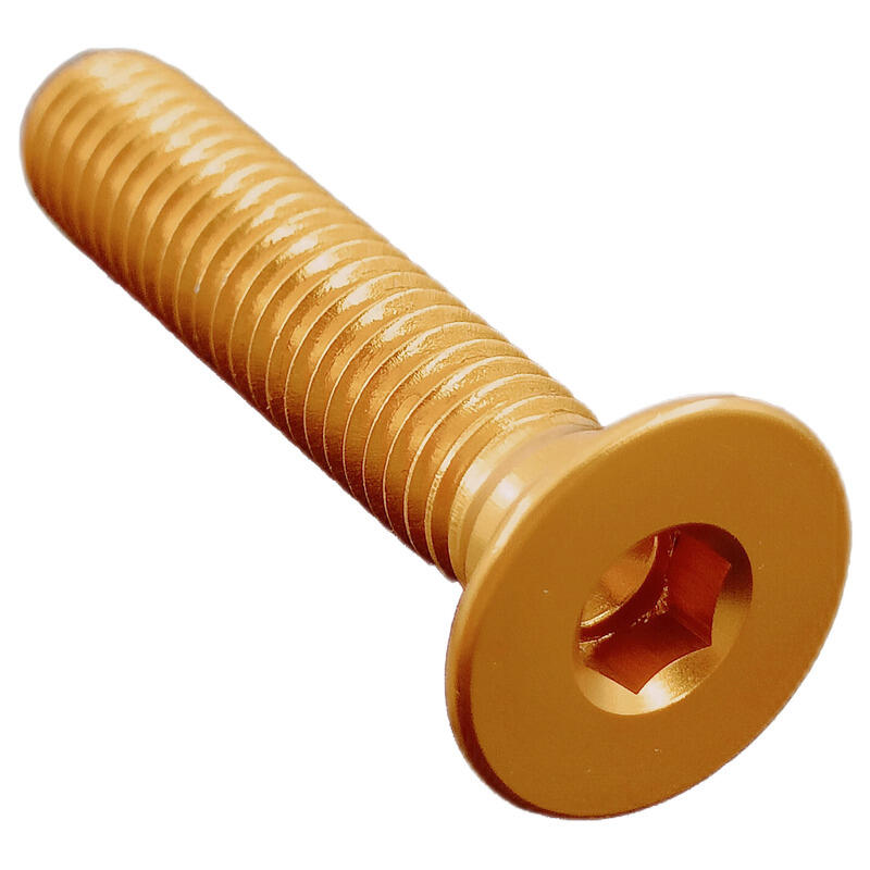 Flat Head Ergal Cl 005 M8 L. 20 Oro