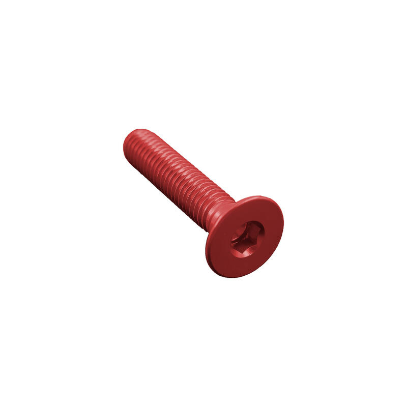 Vite Testa Piana Svas. Erg. Cl 005 M4 L. 55 Rosso
