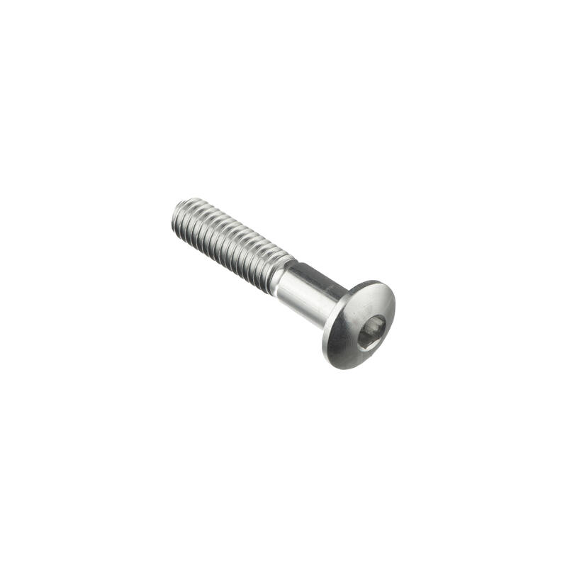 Special Screw M6 X 30 + Smooth Part D6 X 11 Argento