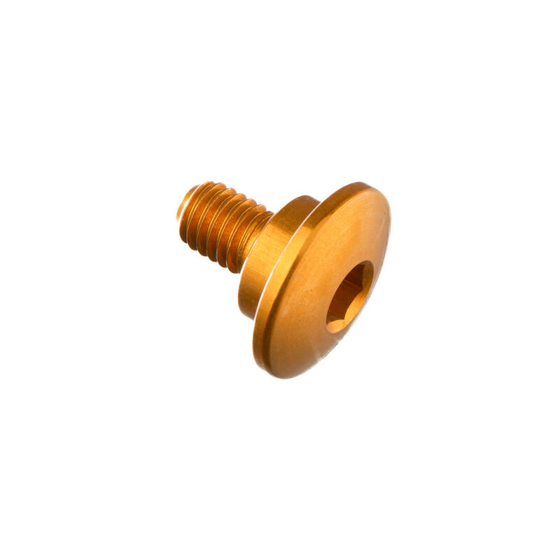 Special Screw M5 X 10 + Smooth Part D8,9 X 3 Oro