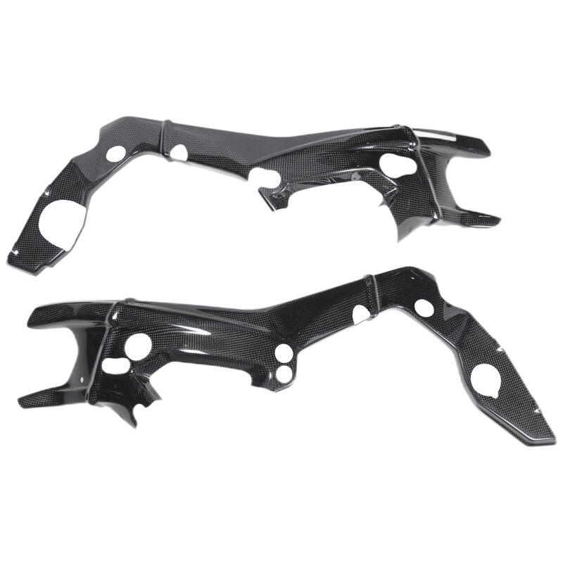 Carbon Frame Protections (Pair) for Bmw Lucido