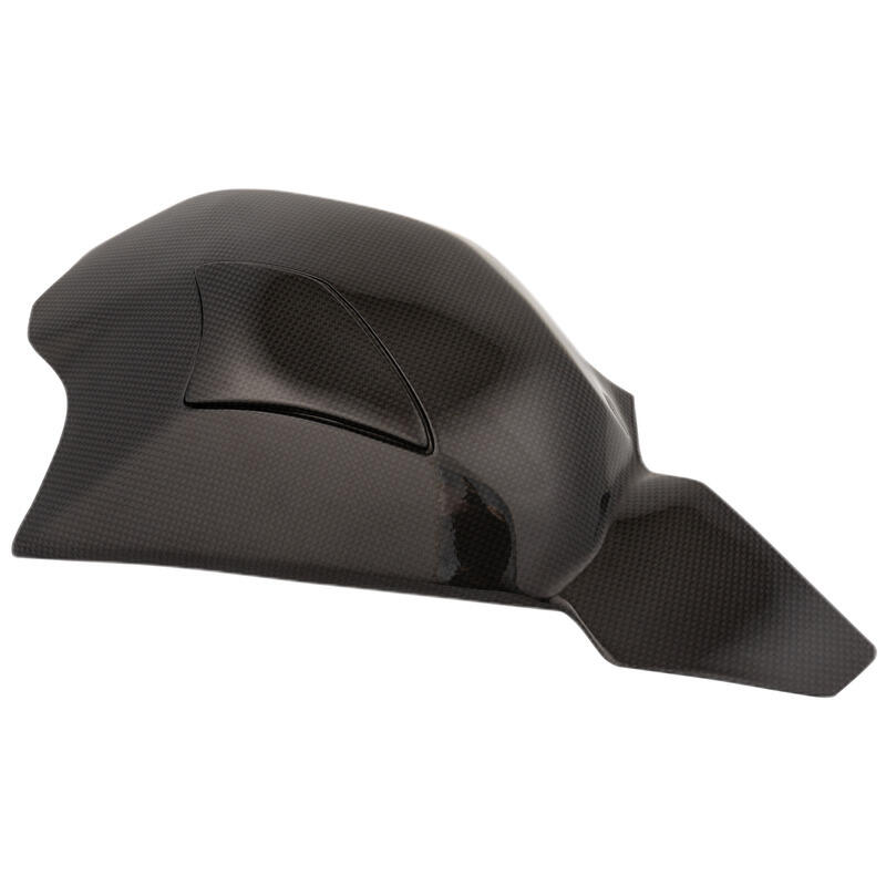 Carbon Arm Protections (Pair) for Ducati Naturale