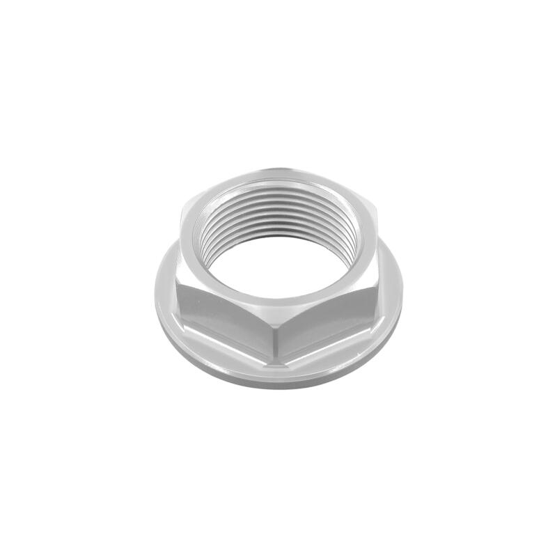 Special Nut25 X 1,50 Ergal for Aprilia, Suzuki Argento
